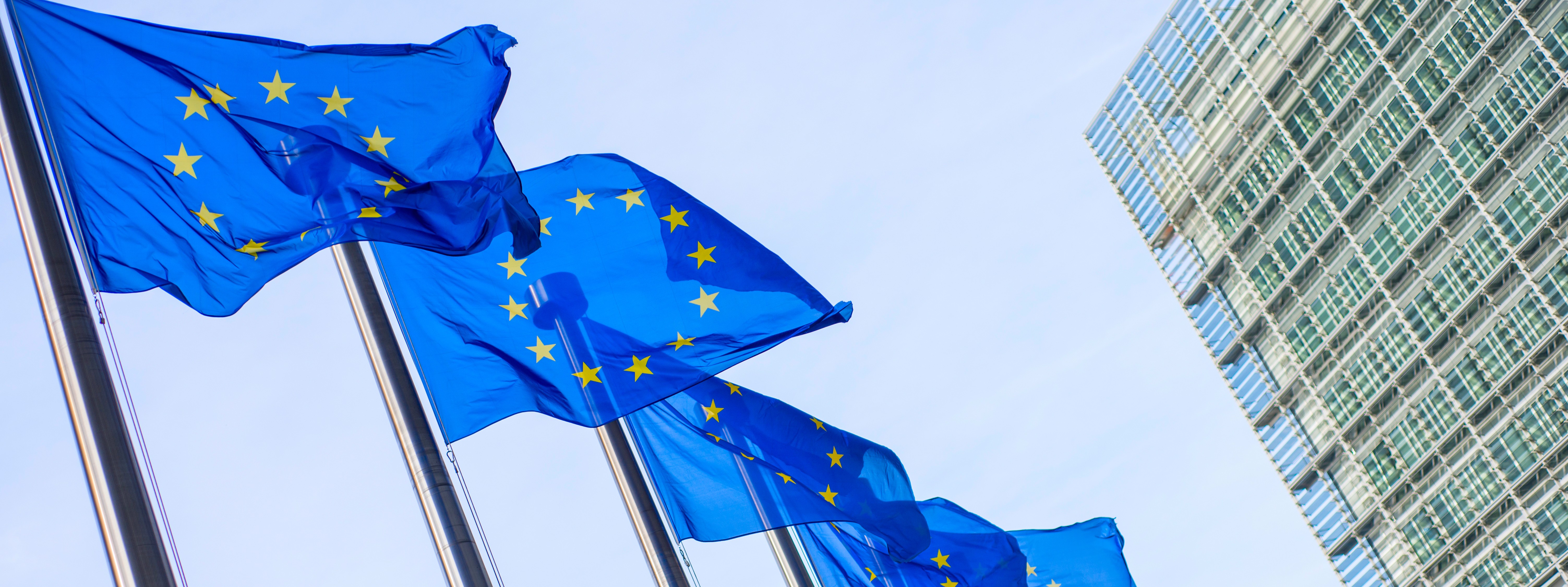 Danish Institute issues guidance for EU CSDDD implementation